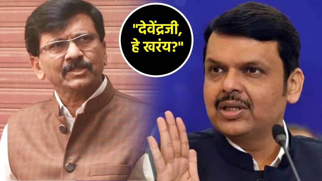 sanjay raut devendra fadnavis (6)