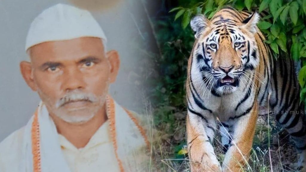 bhandara victim killed tiger pavani taluka