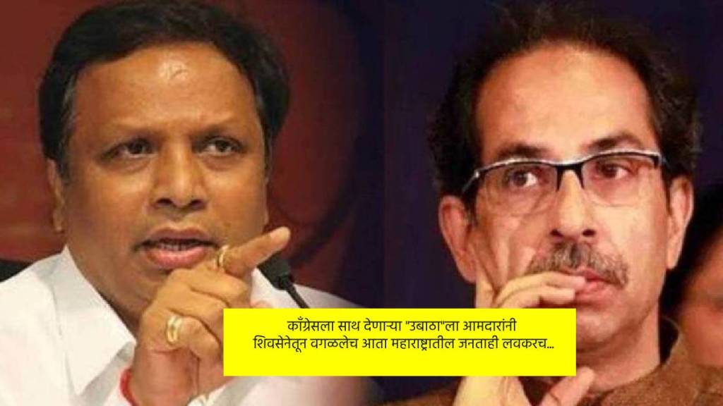 uddhav thackeray and ashish shelar