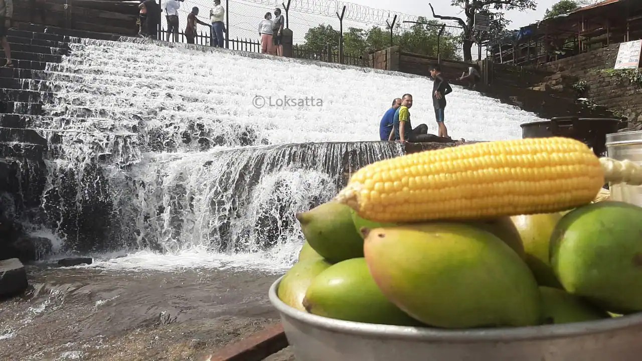 त्यामुळे पावसाळ्यात स्वीटकॉर्नचे सेवन करताना जरा सांभाळूनच. तसेच रस्त्याच्या कडेला मिळणारे कॉर्न खाणं सहसा टाळलचं पाहिजे.