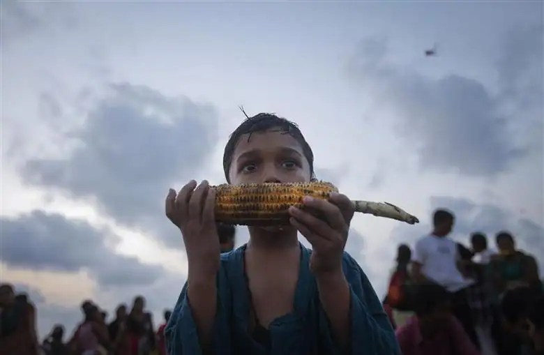 कॉर्नचे जास्त सेवन शरीरावर अधिक वाईट परिणाम करते. तुम्ही जर जास्त प्रमाणात स्वीटकॉर्न खात असाल तर पचनक्रियेवर याचा परिणाम होतो. 