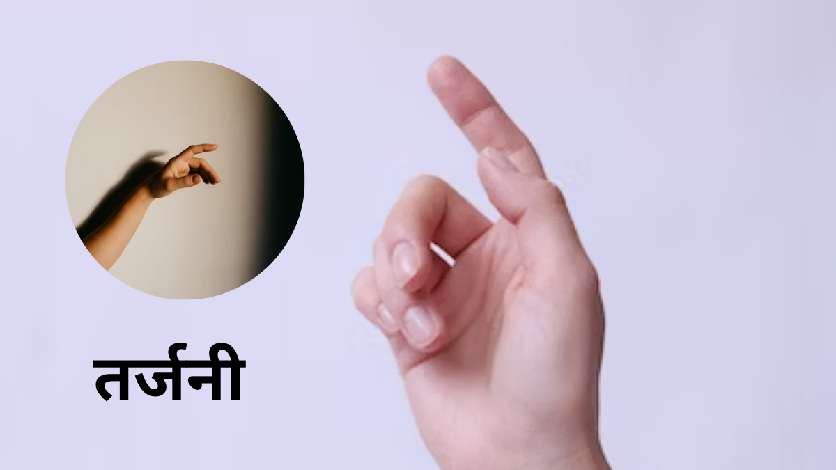 Samudrik Shastra Hand Fingers and Thumb Size Shape Shows Personality Who Will get Fame Success And Money Astrology 