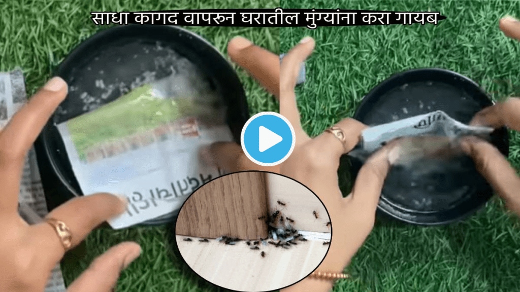 Video Jugaad To Get Rid Of Black Big Ants In Just 10 Rupees Smart Home Cleaning Hacks To Save Your Trouble and Money