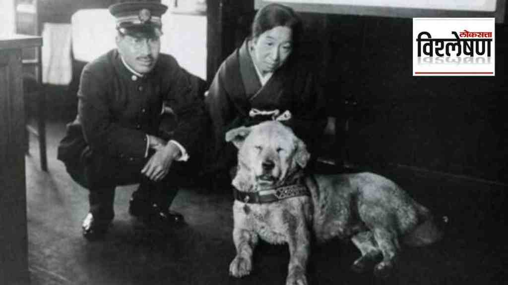 Hachiko world loyal dog