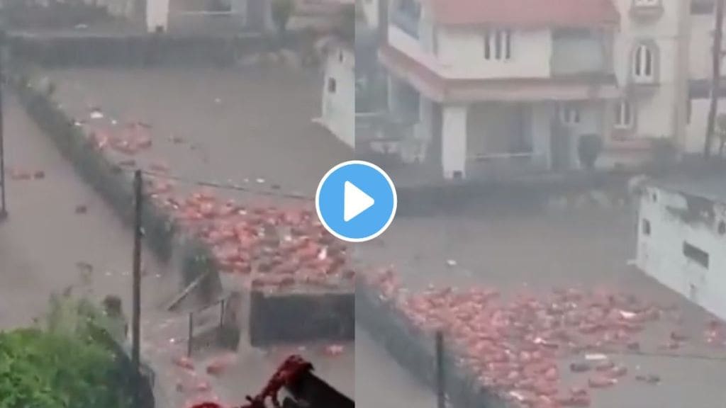 Gujarat Floods Viral Video