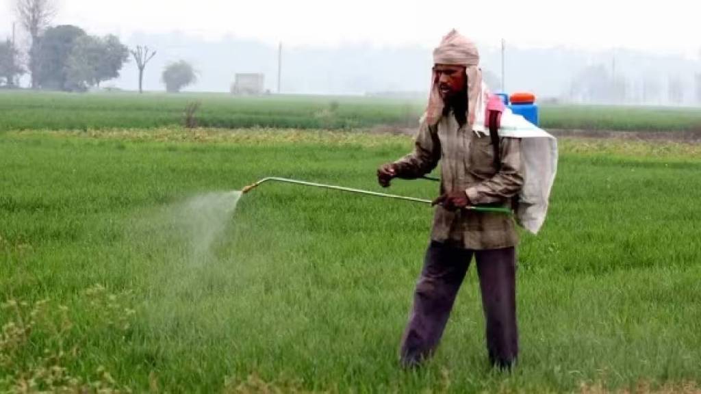 Maharashtra chemical pesticides