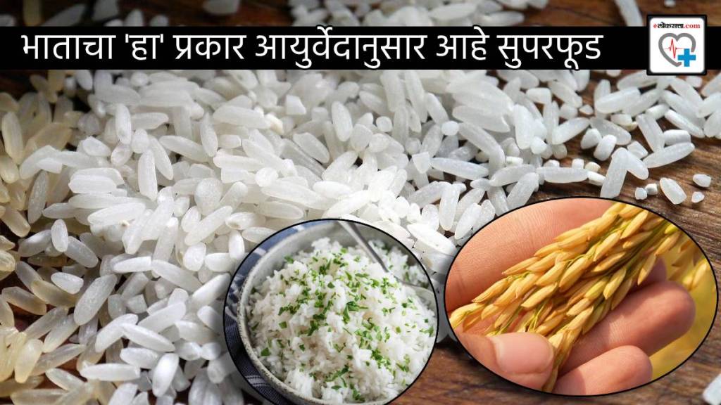 Ayurveda Best Rice For Weight Loss Diabetes Famous Tradition To Eat Rice In Konkan And Kerala Read Benefits and Precautions