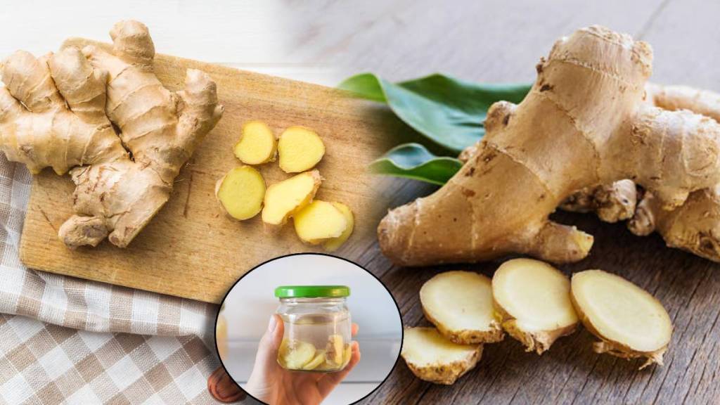 Kitchen Jugaad to Store Expensive Ginger Fresh While Storing In or Without Fridge Simple Tips To Save More Money