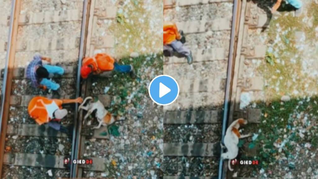 Dog Stuck on Railtrack Saved Just as Train Arrives Near Bandra Terminus in Mumbai, Video Surfaces Online