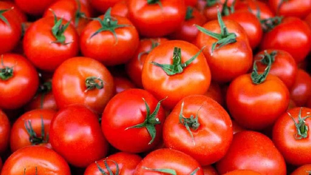 Dubai daughter send 10kg tomato to her mother in india viral news tomato price hike tomato price today viral news