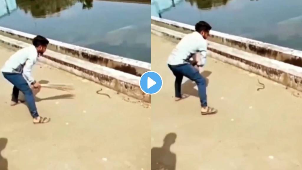 young boy was catching the snake with a broom funny video viral on social media snake video trending