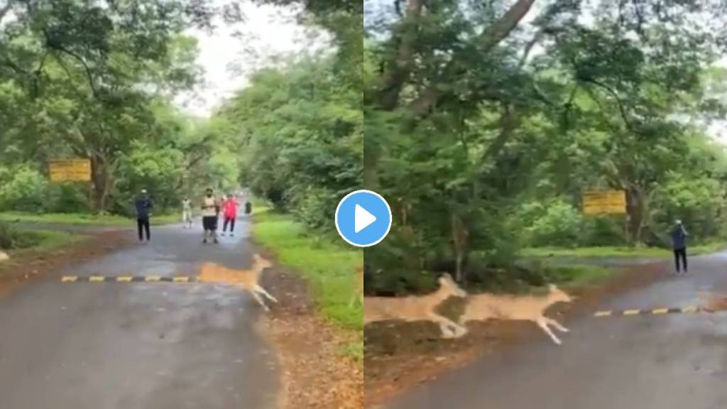 Mumbai Sanjay Gandhi National Park