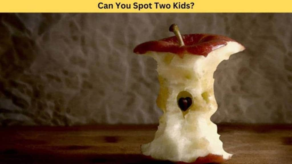 Optical Illusion: Only 1% With Eagle Eyes Can Spot Two Kids In This Optical Illusion Within 5 Seconds!