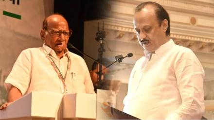 SHarad-Pawar-Ajit-Pawar-2