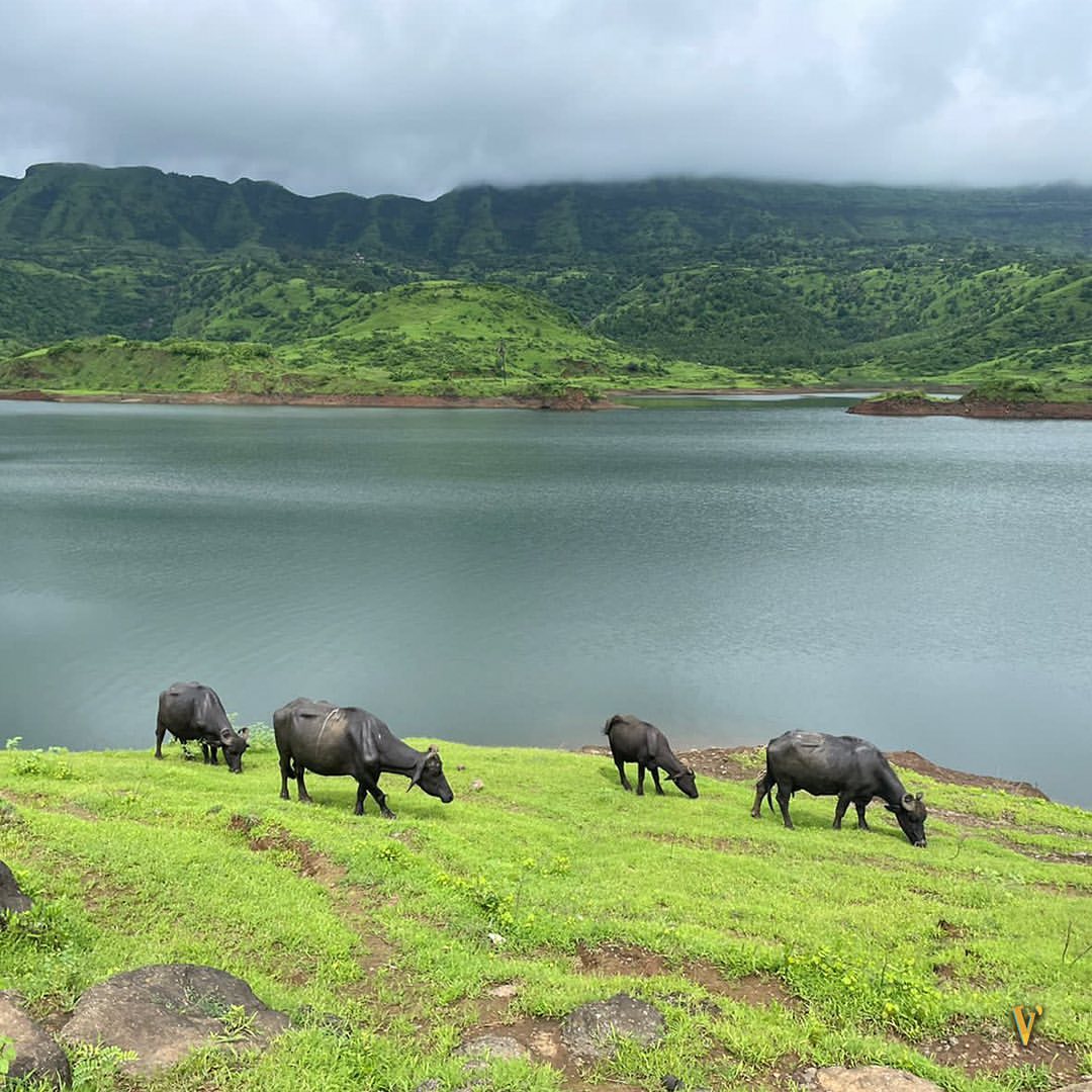 Shivani Baokar Tejashri Pradhan Garbett Plateau Trek