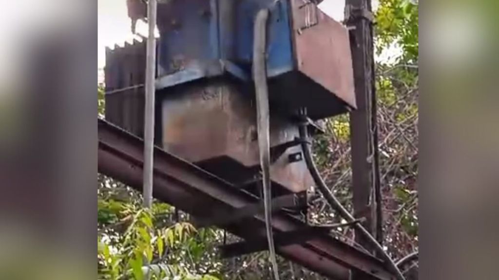 Snake stuck in electric transformer