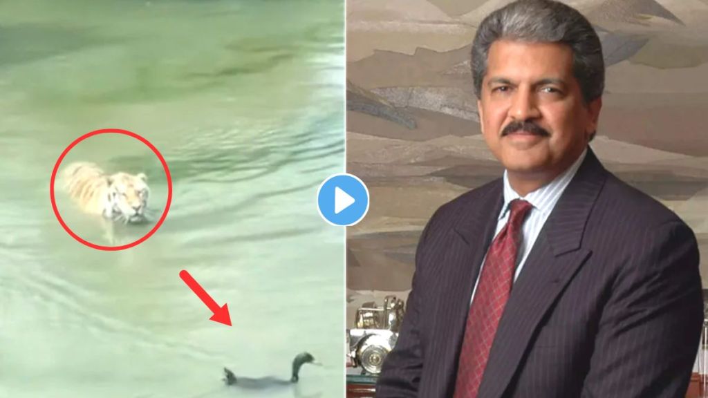 Anand Mahindra Shared Inspirational Video