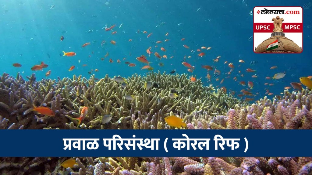 Coral Reefs In Marathi