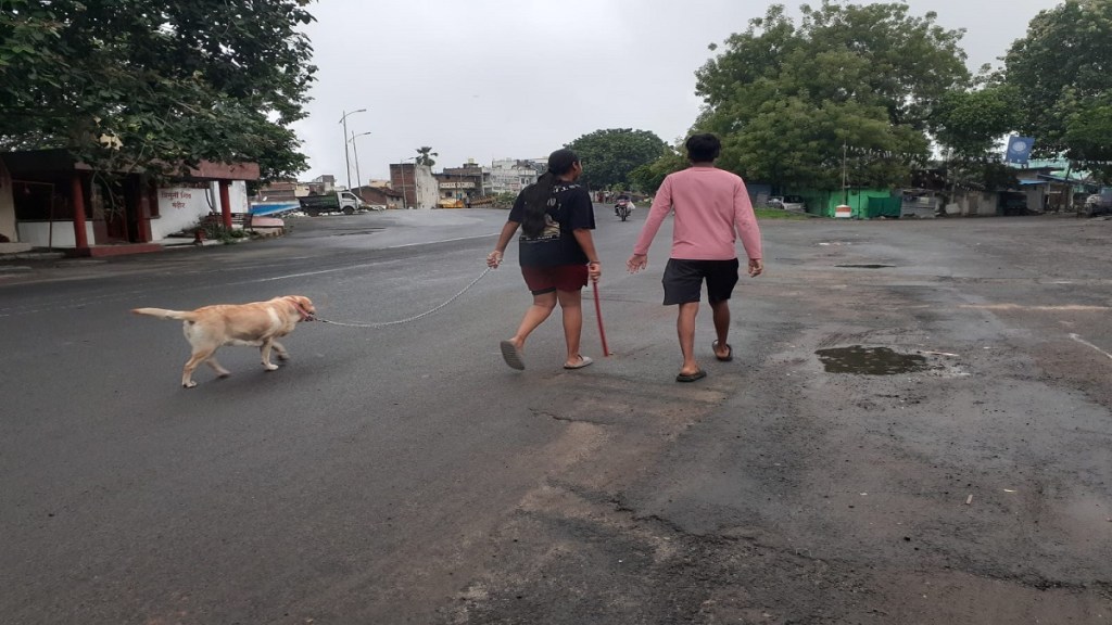 dog walking behind its owner