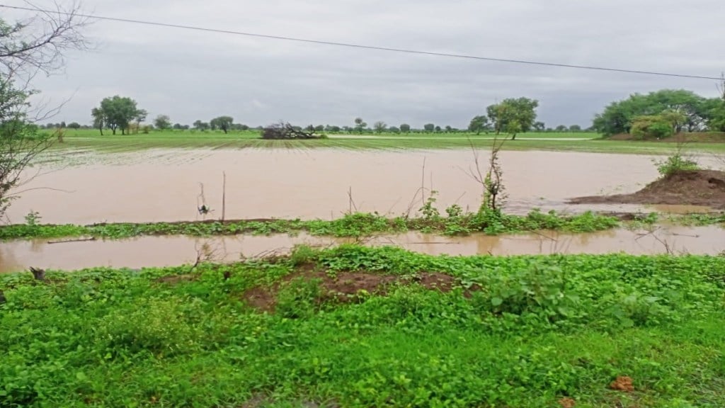 Heavy rains in Buldhana