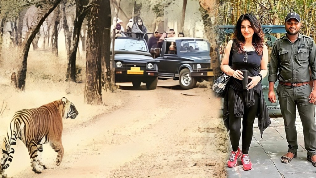 Wildlife Goodwill Ambassador, actress, raveena tandon, tadoba tiger reserve, safari, jungle core area