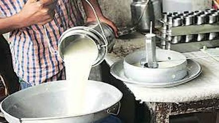 adulterated milk