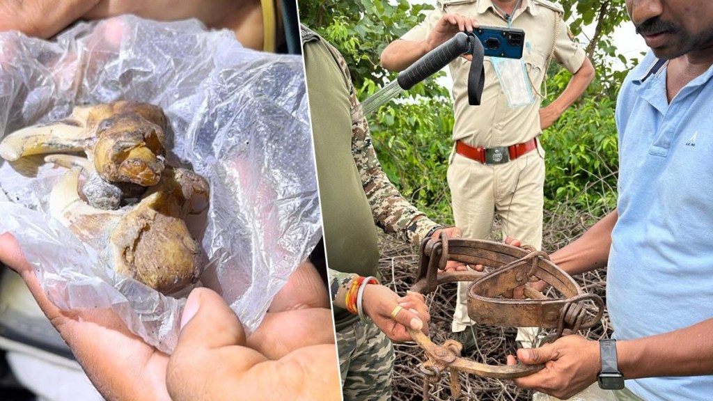 tiger poaching, bawaria gang, forest department, Chandrapur, gadchiroli, guwahati