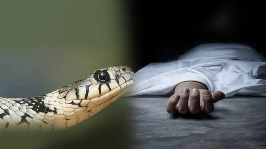 two people died snakebite nashik