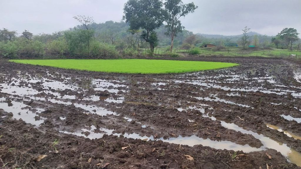 farm thane