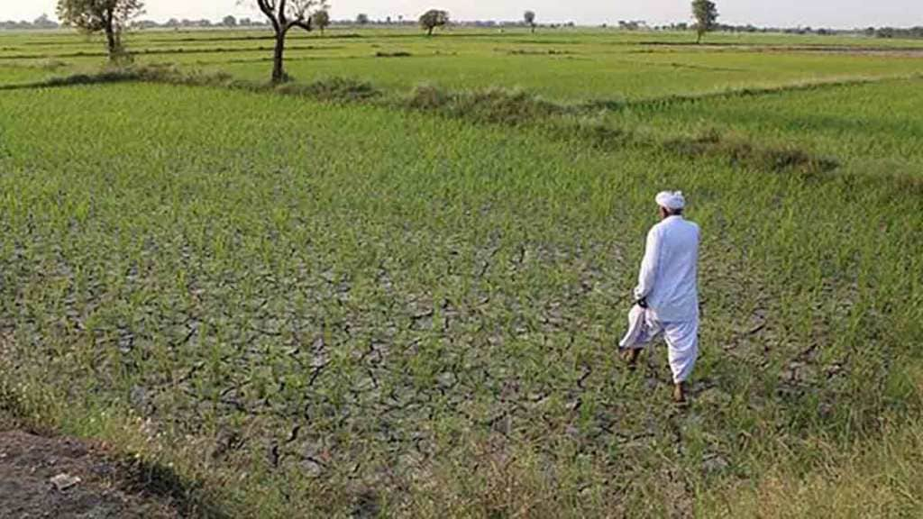 farmer union workers planted cotton and soybeans by displaying black flags