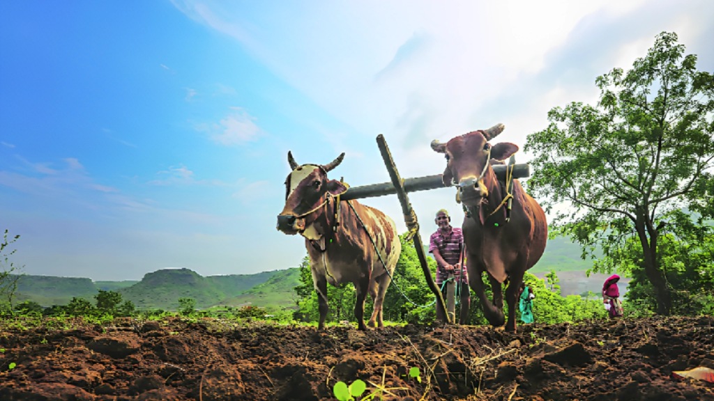 nagpur no rainfall suitable sowing maharashtra