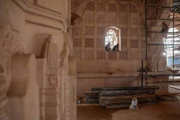 अयोध्येतील हिंदू राम मंदिराच्या बांधकामाधीन जागेत माकडे मुक्त संचार करतात. (फोटो - रॉयटर्स)