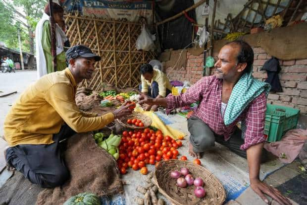 टोमॅटोच्या किमती देशभरात वाढल्या असून भारतातील अनेक भागांमध्ये किरकोळ किंमत १०० रुपये प्रति किलोच्या पुढे गेली आहे. (पीटीआय फोटो)