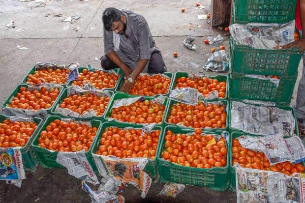 सूरतच्या बाजारात एक माणूस टोमॅटोची वर्गवारी करीत आहे. (पीटीआय फोटो)