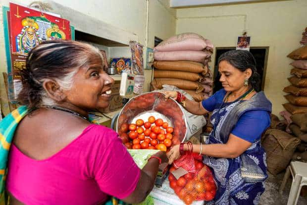 चेन्नई, TN (PTI) येथे रास्त भाव दुकानातील एक कर्मचारी टोमॅटो विकत आहे.