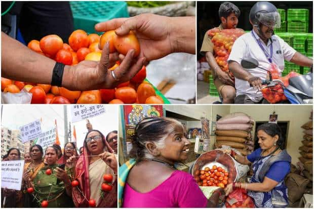 सध्या टोमॅटो हा भाजप आणि काँग्रेस पक्ष यांच्यातील राजकीय वादाचा मुद्दा बनला आहे. भारतातील काही शहरांमध्ये टोमॅटोबरोबरच 'या' भाज्यांच्या किमती १५० रुपये प्रति किलोच्या पुढे गेल्याचे वृत्त आहे.