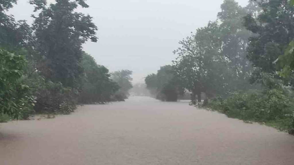 rain in maharashtra flood like situation in gadchiroli district after heavy rain