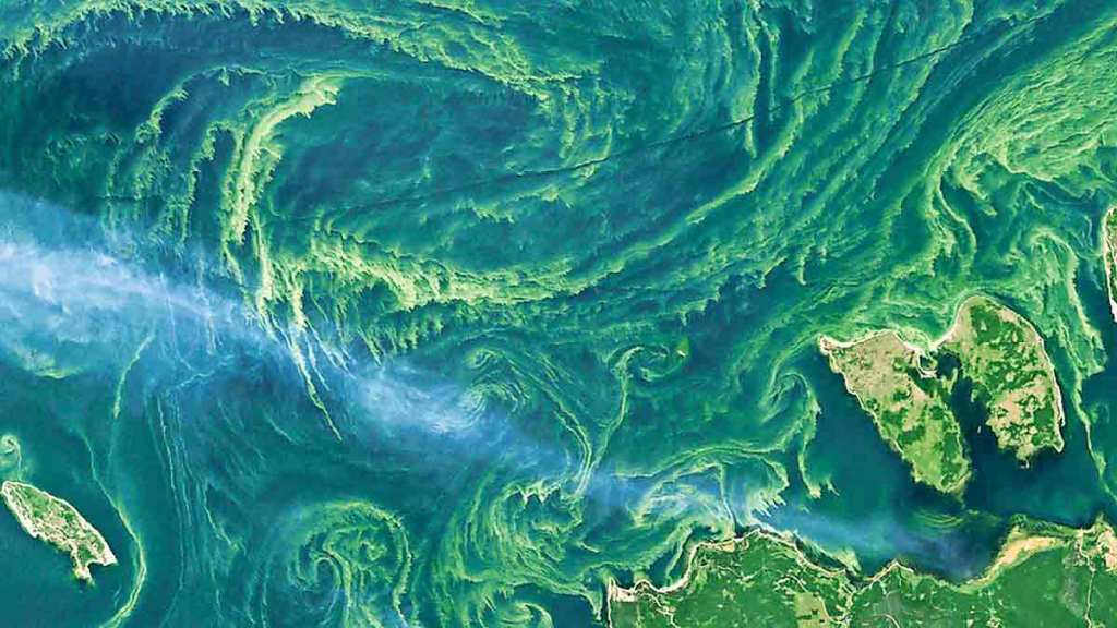 oceans changing colour due to climate change