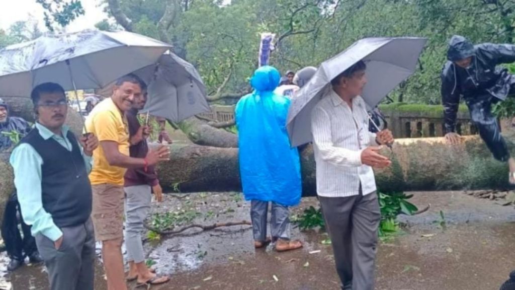 heavy rain in kolhapur