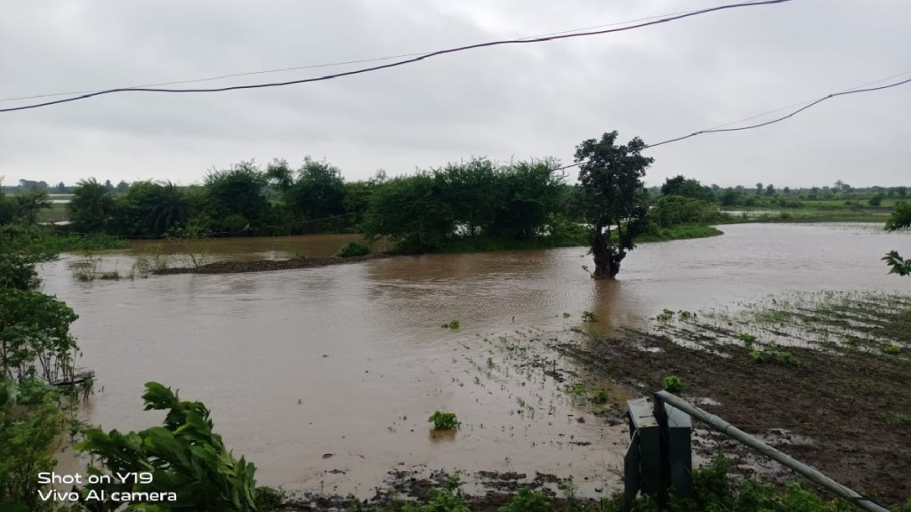 hectares of crops are in danger due to heavy rains