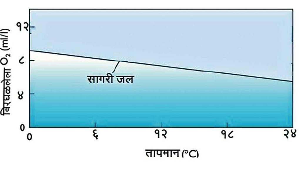 dissolved gases in seawater