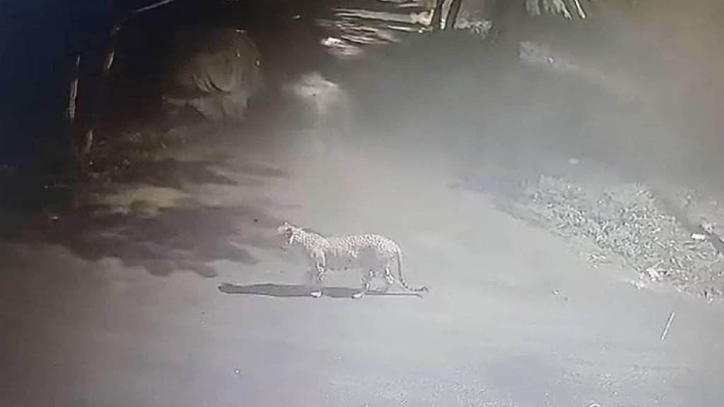 leopard, Nashik city, one injured, attack, forest department, alert mode