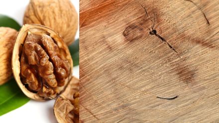 How to Remove Wooden Furniture Scratc by walnut