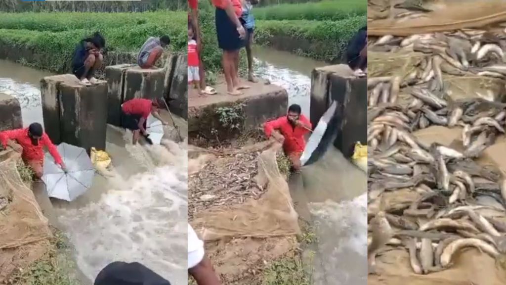 desi jugaad for fishing by using umbrella video viral