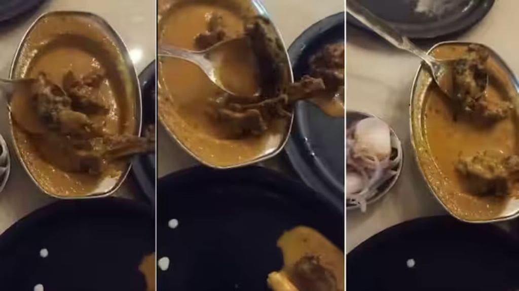 Dead rat found in non-veg dish Ludhiana eatery owner booked after video goes viral