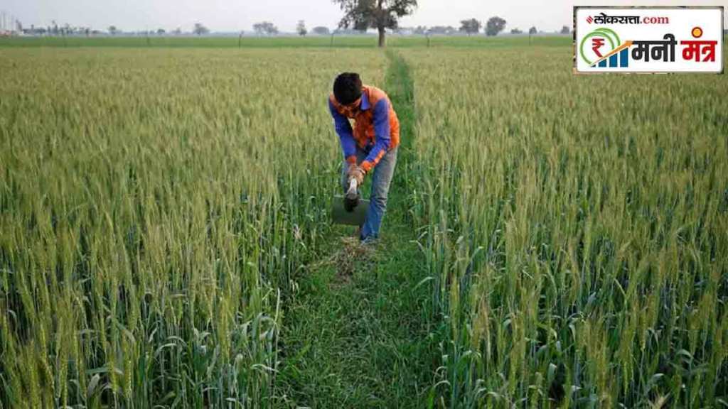 nino impact oilseeds production