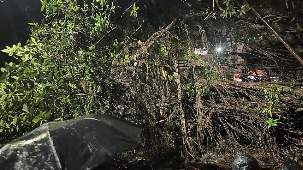 old banyan tree took place in Rasta Peth