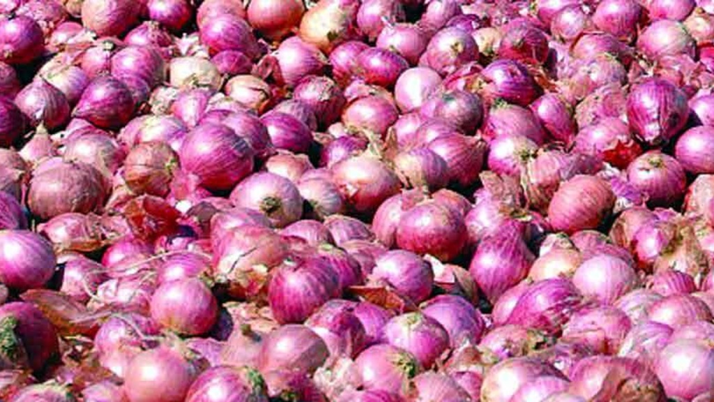 onion sold doubl price retail market navi mumbai