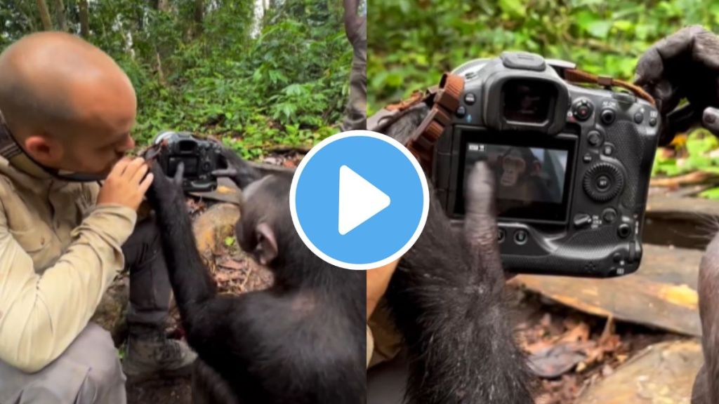 a monkey handle camera properly amazing video goes viral a photographer share on instagram