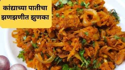 jhunka recipe Kandyachya Paticha Jhunka Spring Onion bhaji Recipe In Marathi food lovers maharastrian food